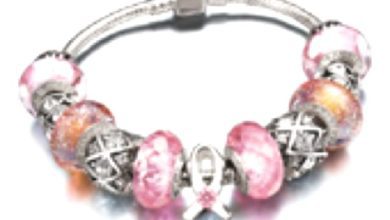 chamilia charity bracelet web